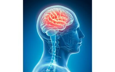Soveltavan neurologian hyödyntäminen päänsäryn, huimauksen ja kipujen fysioterapiassa 